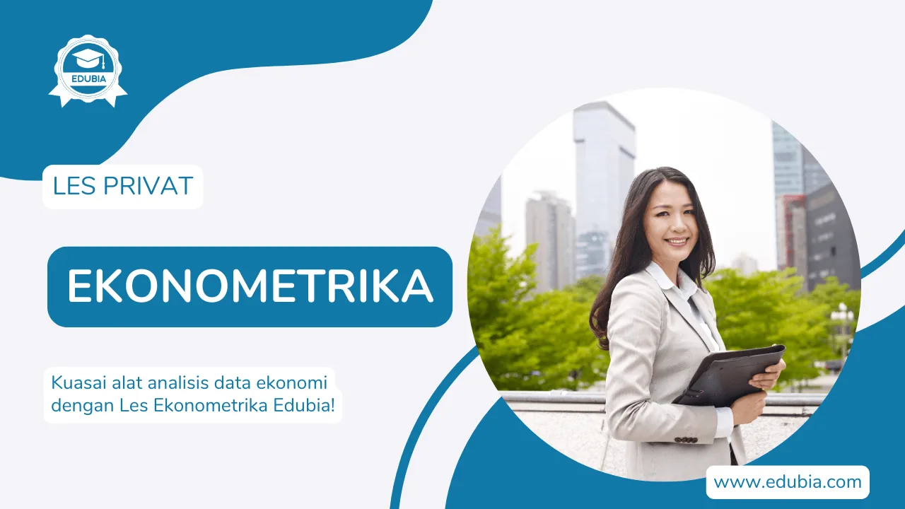 Les Ekonometrika