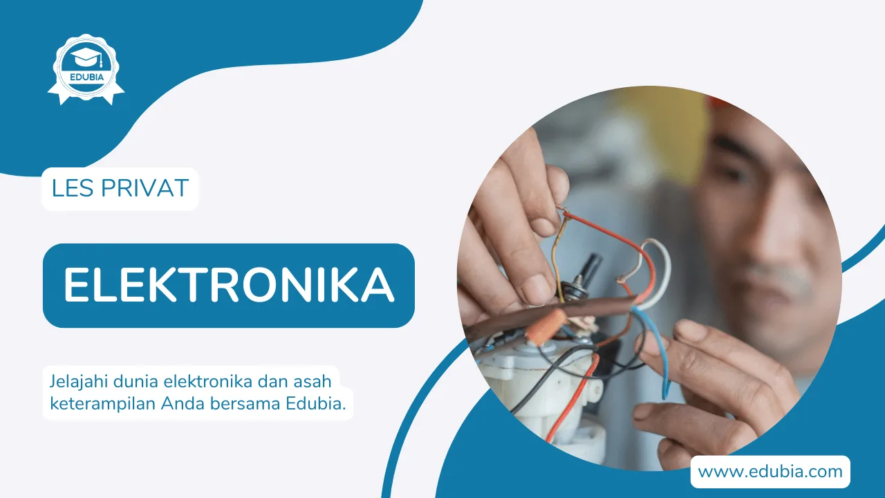 Les Elektronika